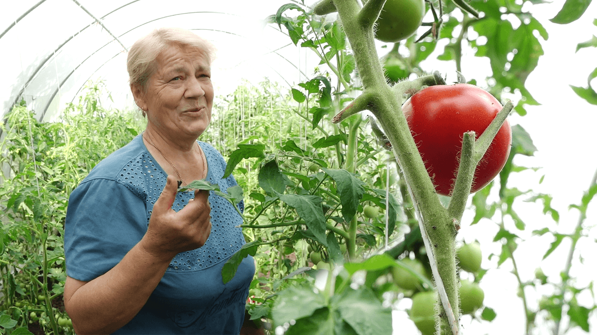 Pe lângă pensie și o mică afacere în agricultură
