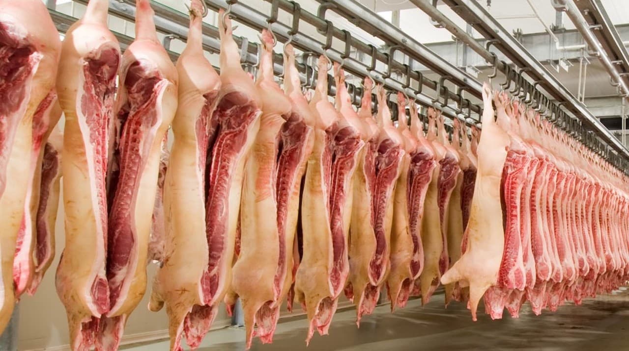 Parlamentul coace un proiect de lege, care va influența multe activități în domeniul alimentar
