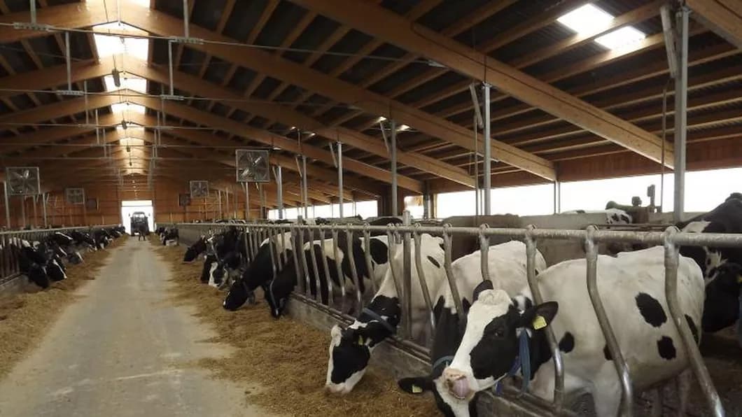 Fondul genetic al animalelor din ferme va fi îmbunătățit
