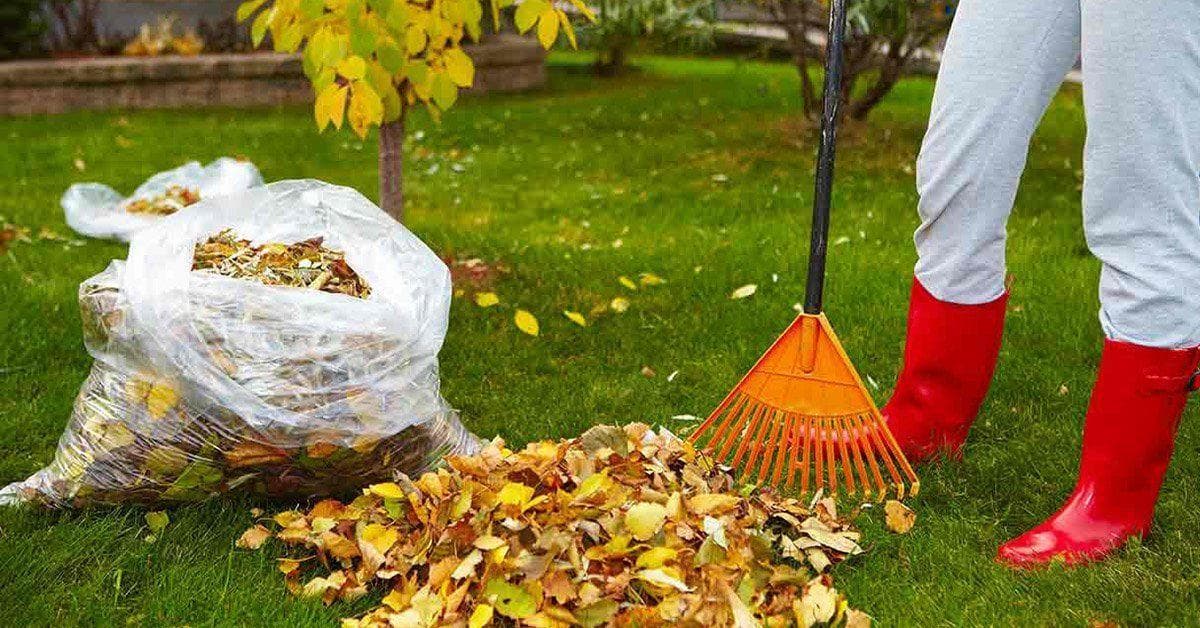 Campanie de salubrizare la nivel național