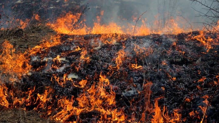 Cod galben de pericol de incendii