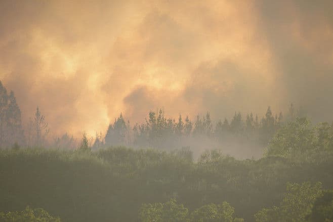 Canicula puternică creează pagube în Spania și Portugalia/FOTO