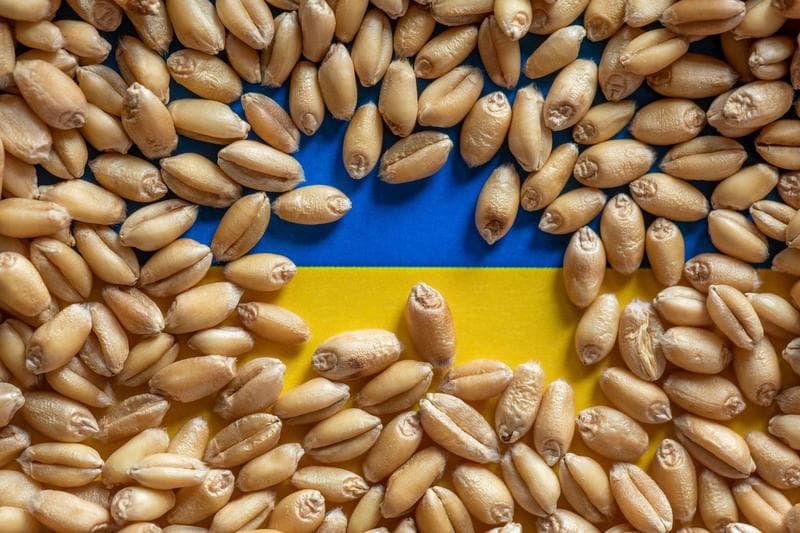 SUA elaborează „un plan” pentru a exporta cereale din Ucraina