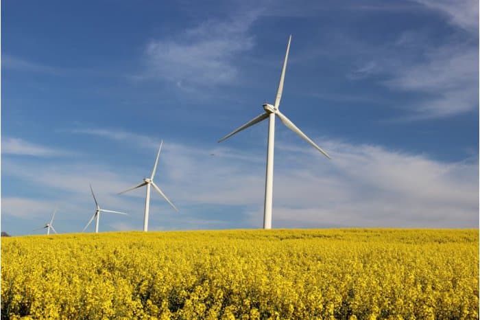 China este dispusă să extindă colaborarea cu RM în domeniul energiilor regenerabile