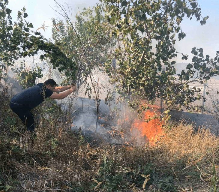 Incendiu de vegetație, stins la limita unui teren agricol / FOTO