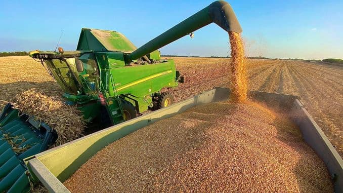 România – stat cu cea mai mare cantitate de grâu exportată