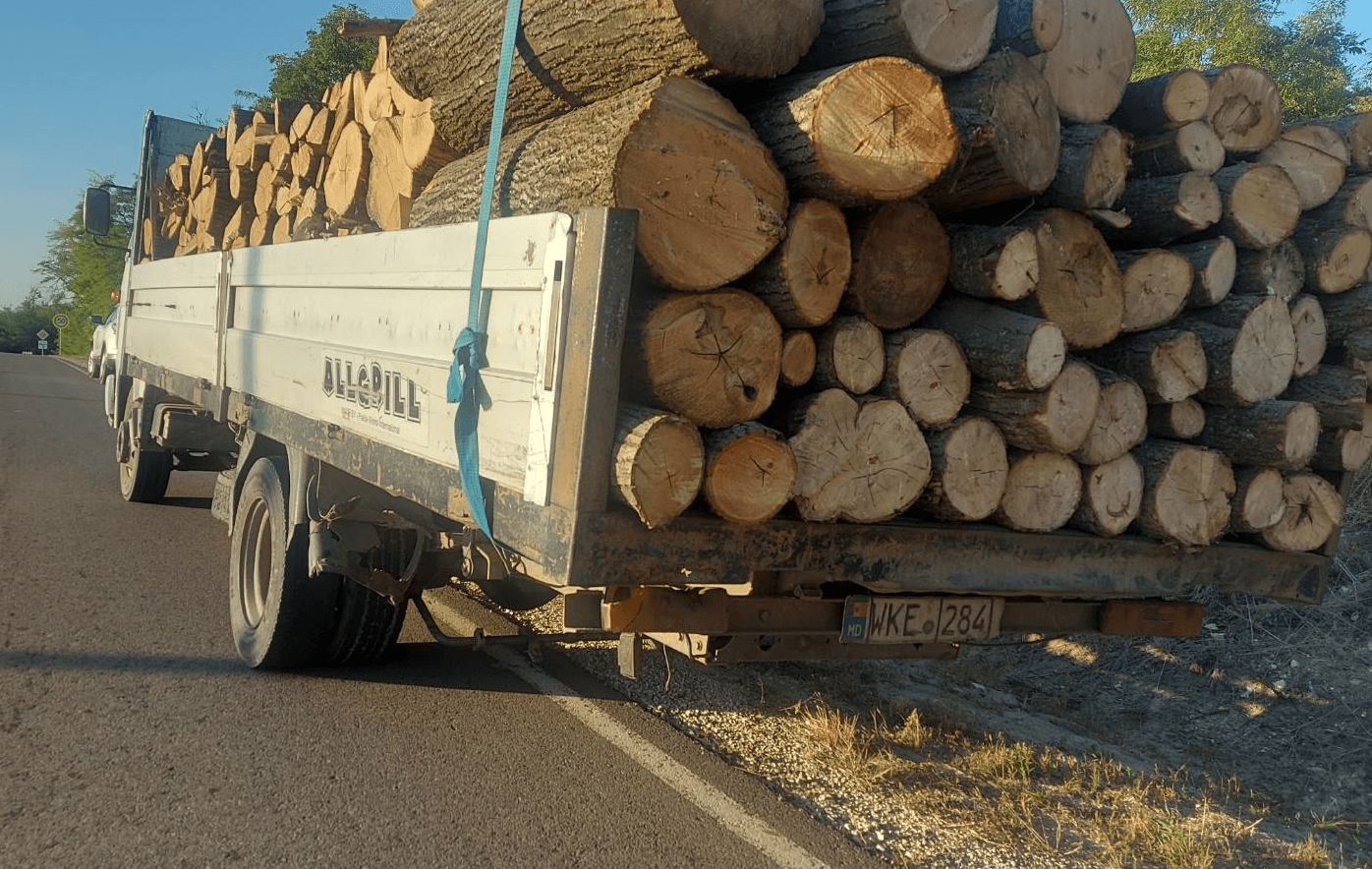 Masă lemnoasă transportată ilegal la Nisporeni / FOTO