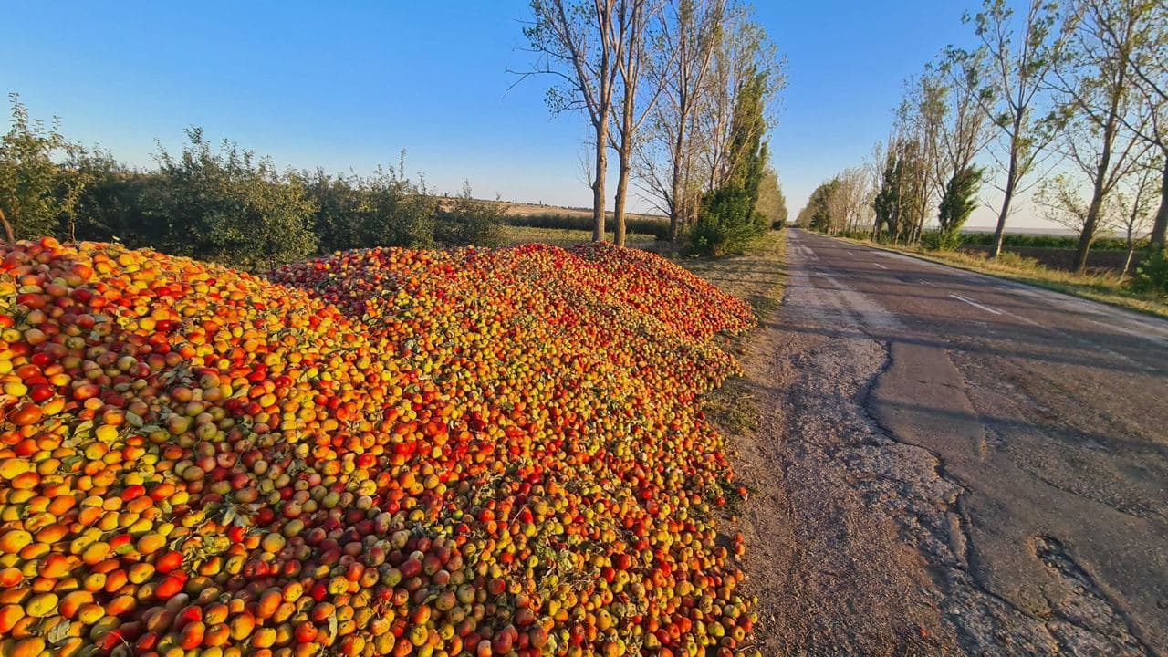 Foto/Video: Tone de mere, aruncate pe marginea drumului la Edineț