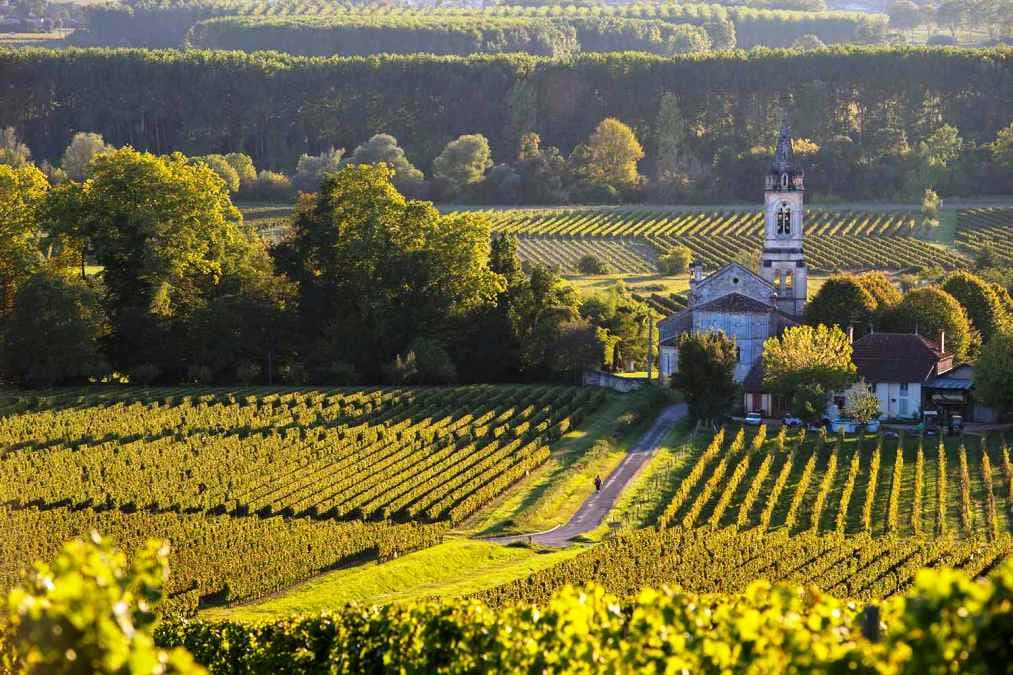 Franţa va investi 150 de milioane de dolari în agricultură