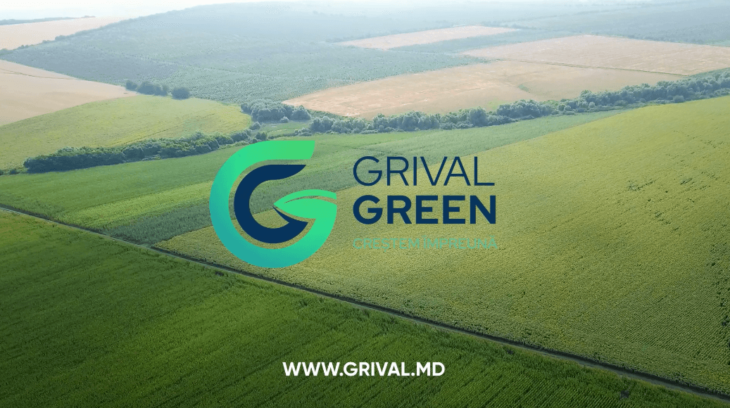 Lichidare de Stoc la Grival Green!