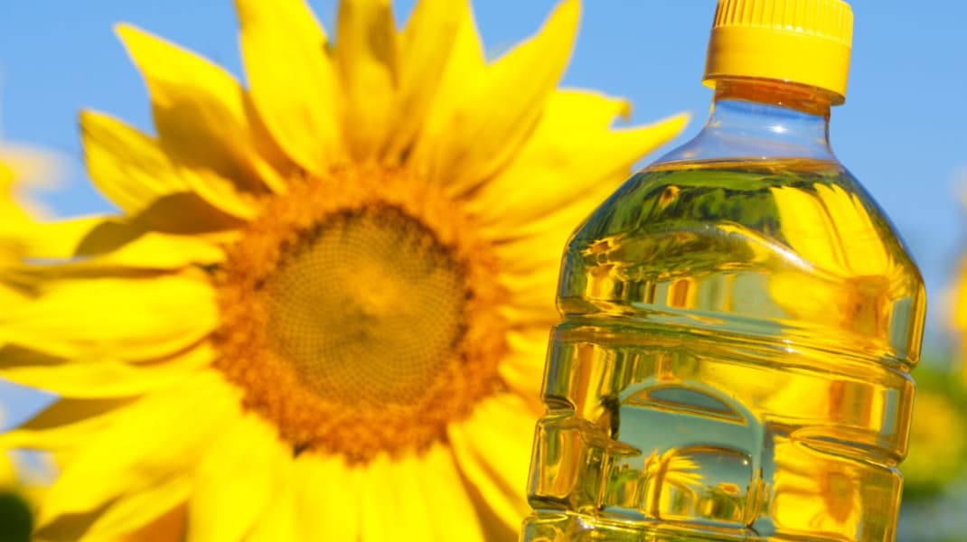 Fermierii vor produce mai puţin ulei în acest an