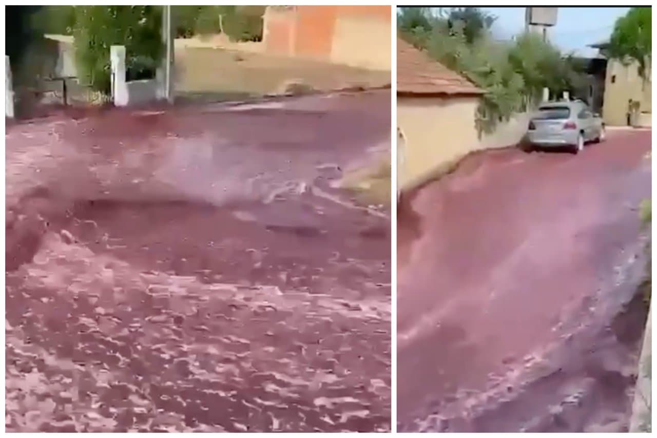 Râuri de vin pe o stradă din Portugalia / VIDEO