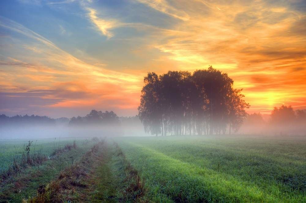Nopți răcoroase, anunță meteorologii