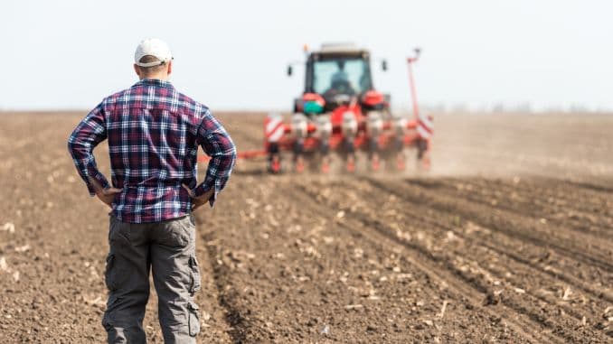 Spaima agricultorilor în luna noiembrie: Ninsori, înghețuri sau vreme cald. Cum sunt afectate activitățile agricole