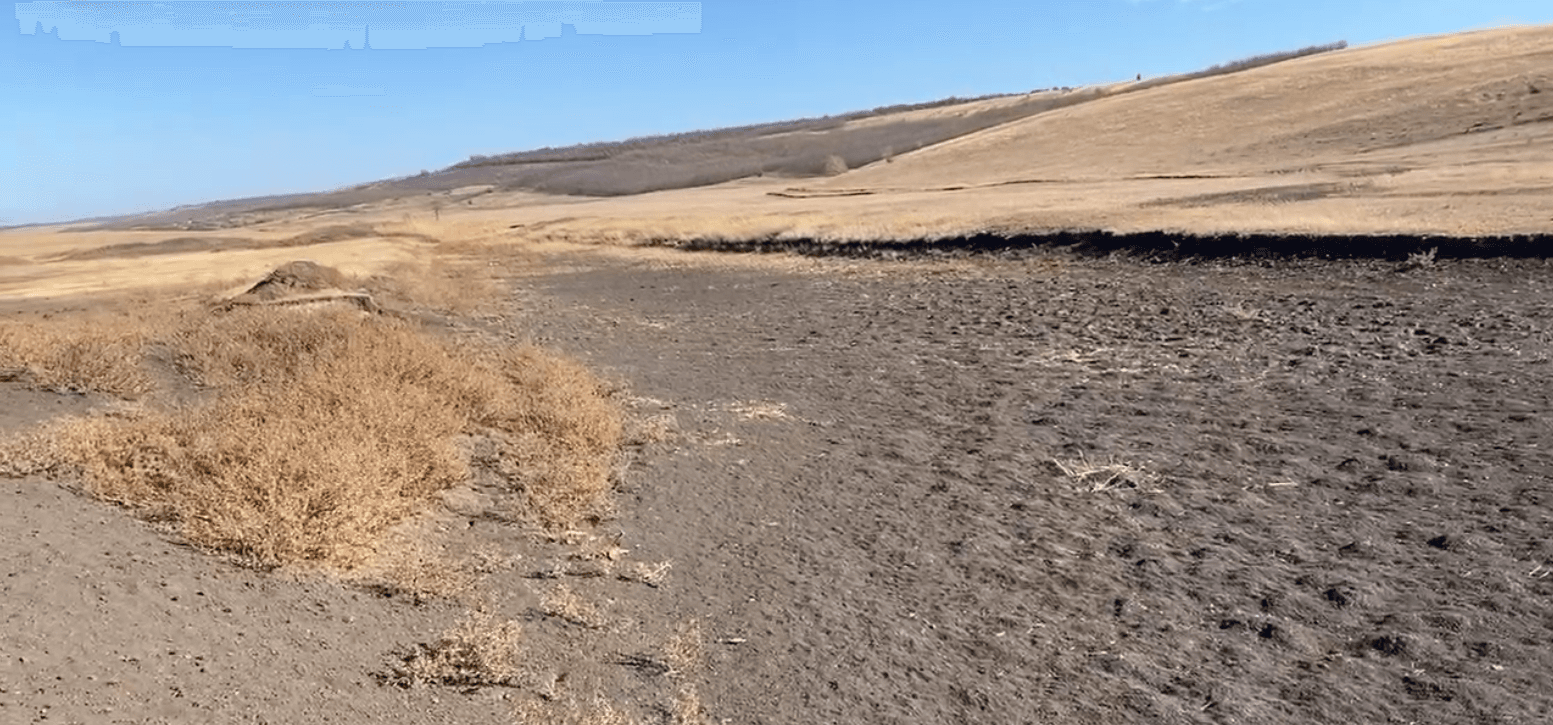 VIDEO/ Un lac din sudul Moldovei a secat complet din cauza secetei