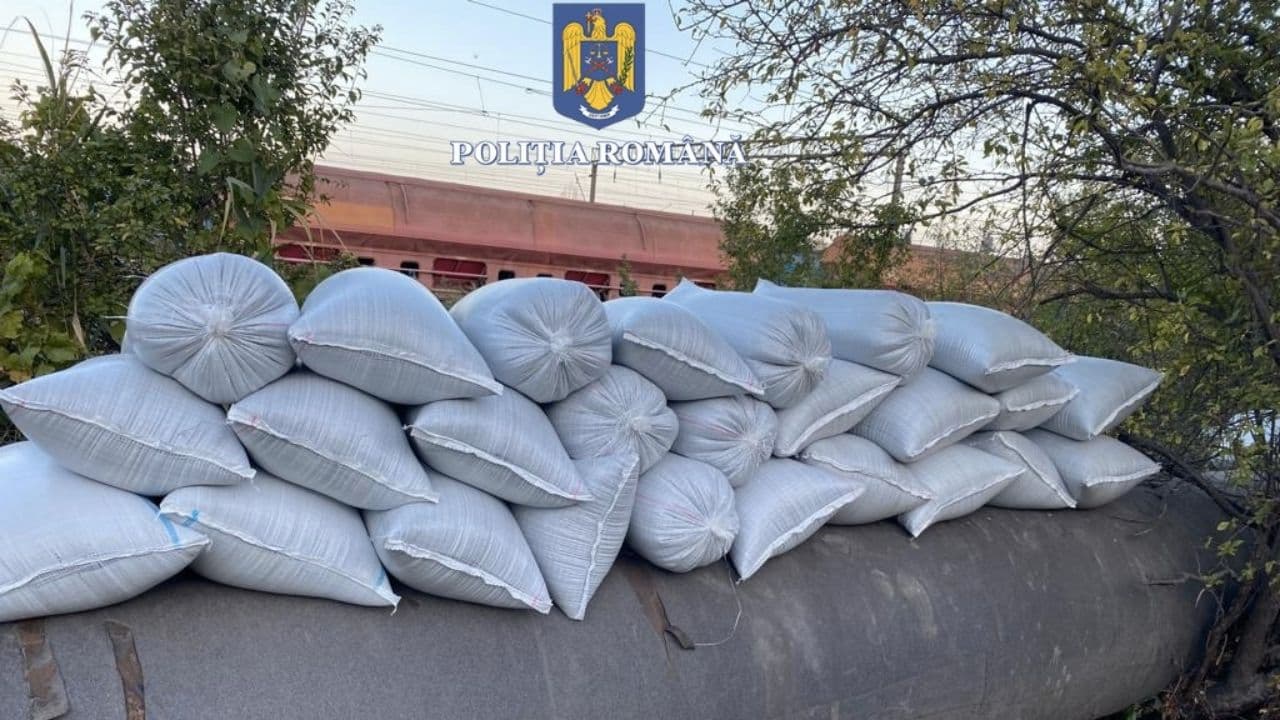 Tone de cereale, cărbuni și zahăr, furate din Portul Constanța din vagoanele marfare
