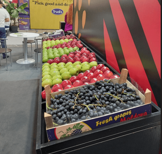 Expoziția Fruit Attraction va găzdui producătorii și exportatorii de fructe din RM/FOTO