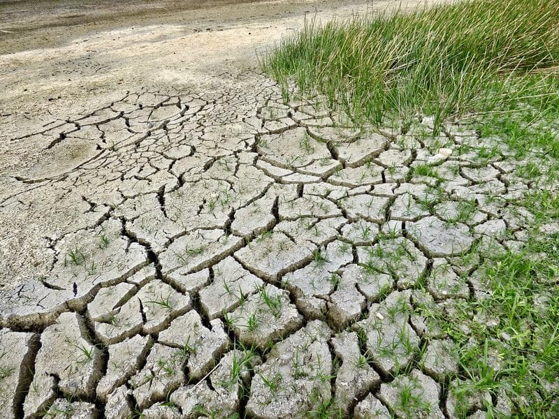 2023, pe cale să devine cel mai cald an, înregistat vreodată