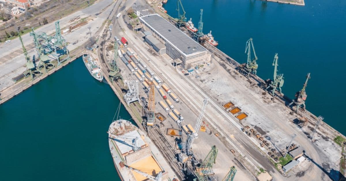 Creșterea prețului porumbului în portul Constanța: Oportunități de profit pentru fermierii moldoveni