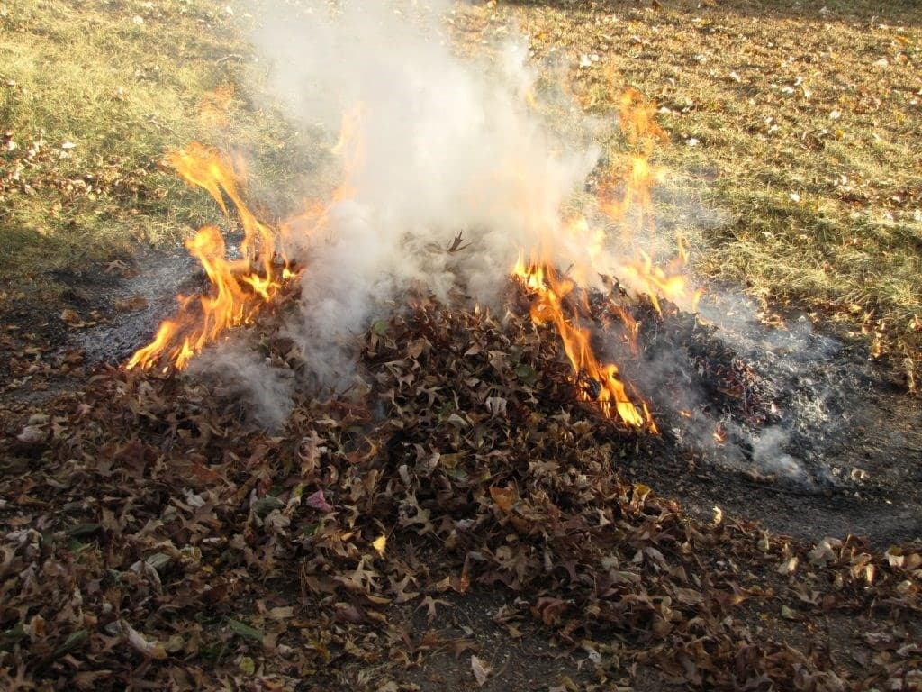Arderea resturilor vegetale poate duce la consecințe grave/FOTO
