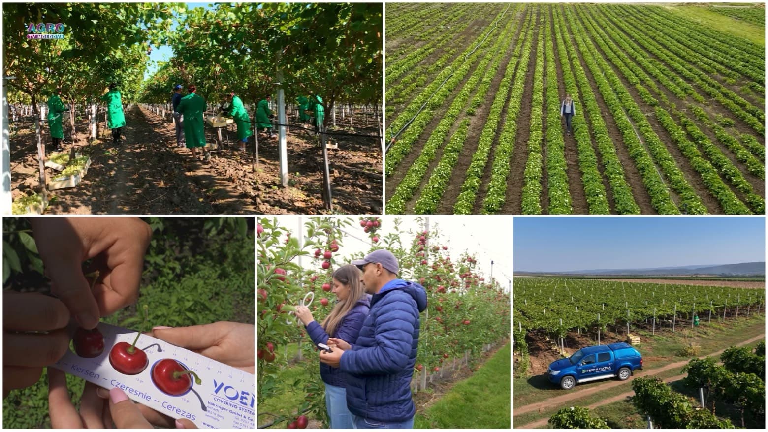 Echipa Fertilitatea-Chișinău Vă urează La Mulți Ani de Ziua Agricultorului!