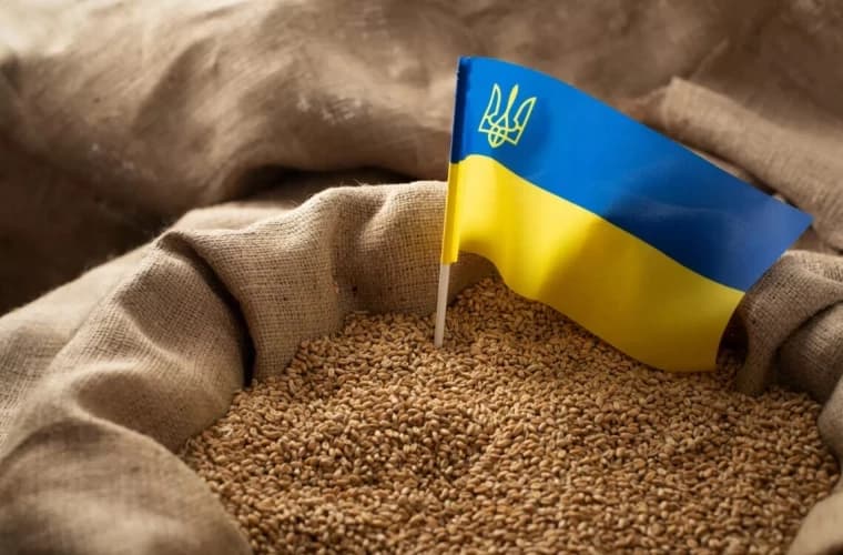 Denis Shmyhal: 70 la sută din cerealele din Ucraina se exportă prin România