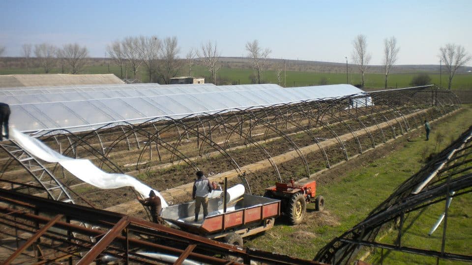 Granturi pentru digitalizare. Activitatea unei companii agricole din Cahul, eficientizată datorită proiectului Startup City Cahul