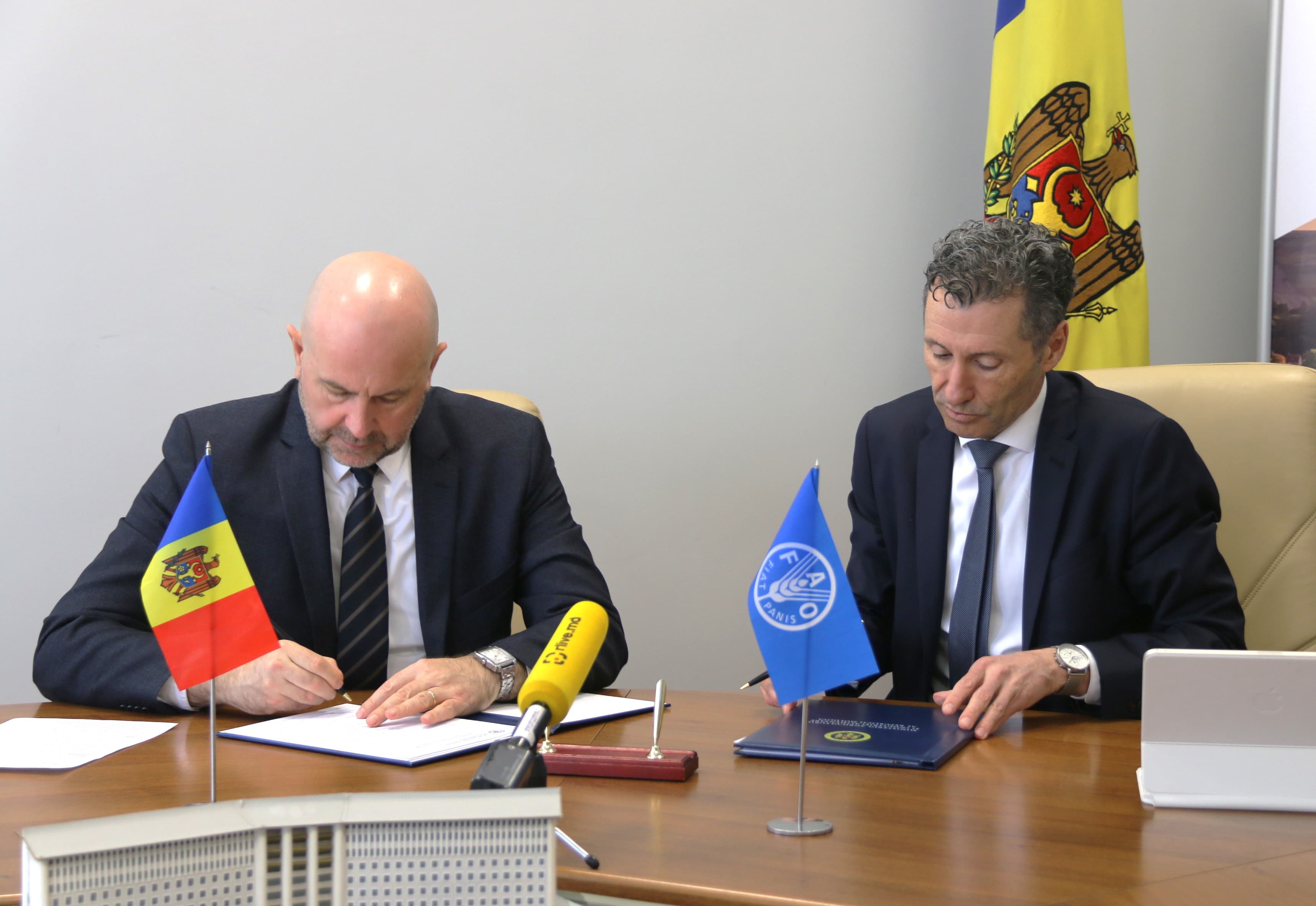 FAO oferă sprijin producătorilor de struguri de masă din Republica Moldova