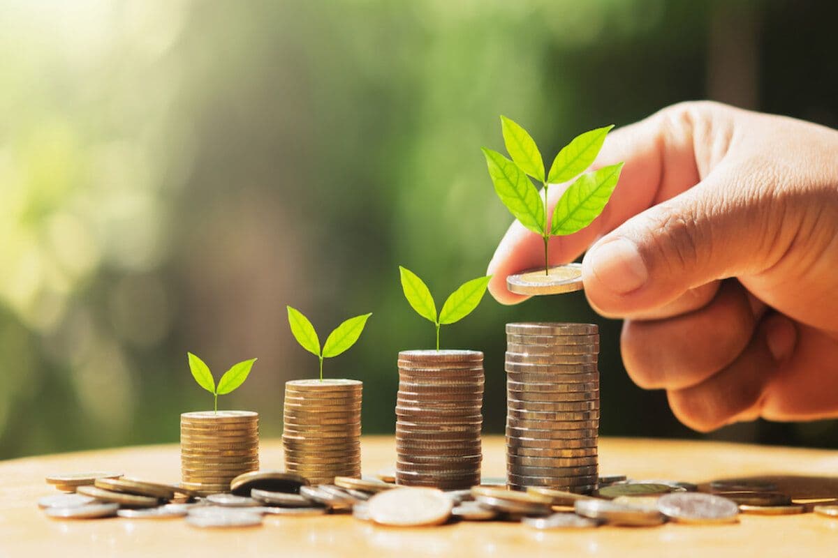Granturi de până la 10 mii de dolari pentru agricultori