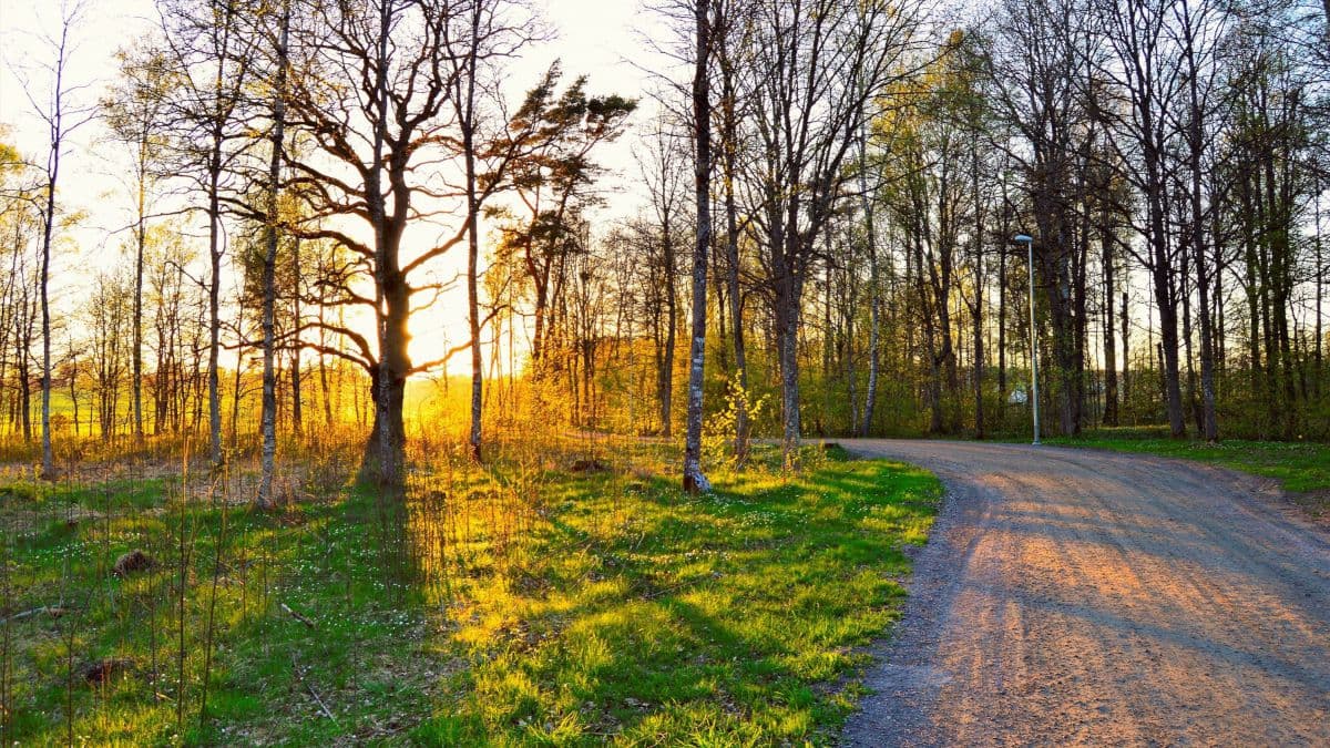 Vreme frumoasă mâine în toată țara: Fără ploi și temperaturi în creștere