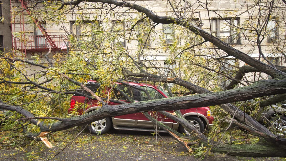 Capitala României, afectată de vânturile puternice