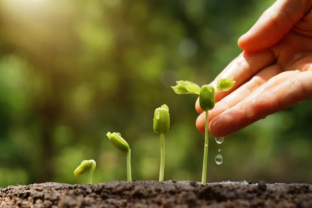 Atribuțiile de testare a soiurilor de plante care au caracter științific vor fi delimitate
