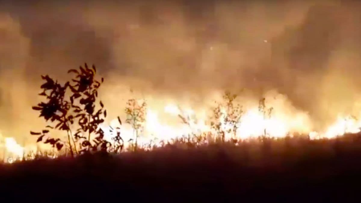 Nouă persoane au fost sancționate în ultimele zile după ce au dat foc vegetației uscate