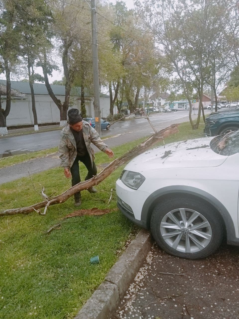 Vântul puternic și ploile din weekend au făcut ravagii în Capitală