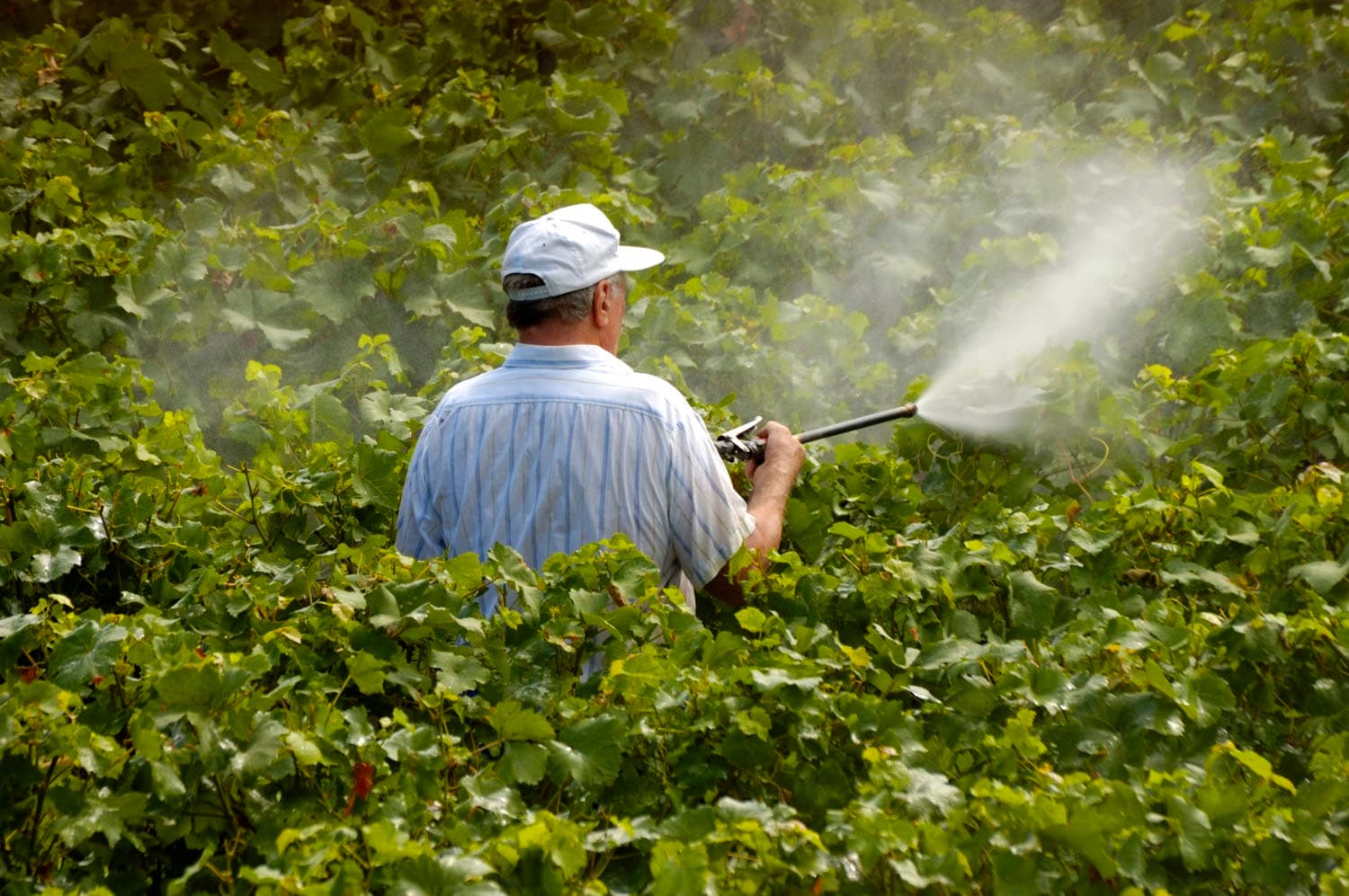 Substanțe chimice periculoase au fost eliminate din regiunea Transnistreană
