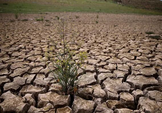Vara 2024: temperaturi record și secetă în Republica Moldova