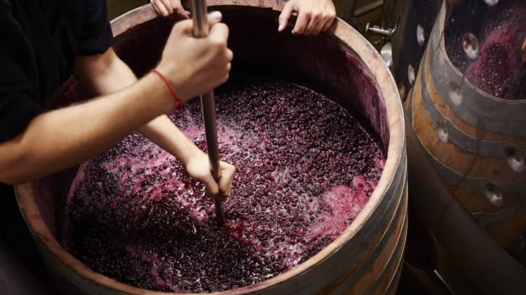 Atenție la fermentarea vinului: risc de intoxicație cu gaze