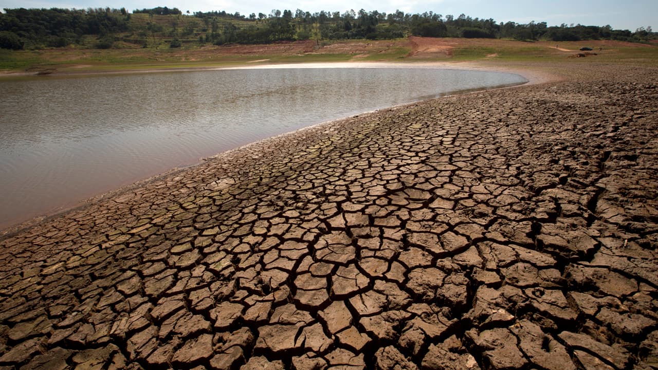 Brazilia, afectată de cea mai gravă secetă din ultimele decenii