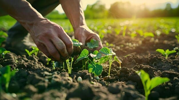 În atenția solicitanților de subvenții ai Fondului Național de Dezvoltare a Agriculturii și Mediului Rural