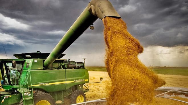 Ministerul Agriculturii anunță continuarea licențierii importurilor