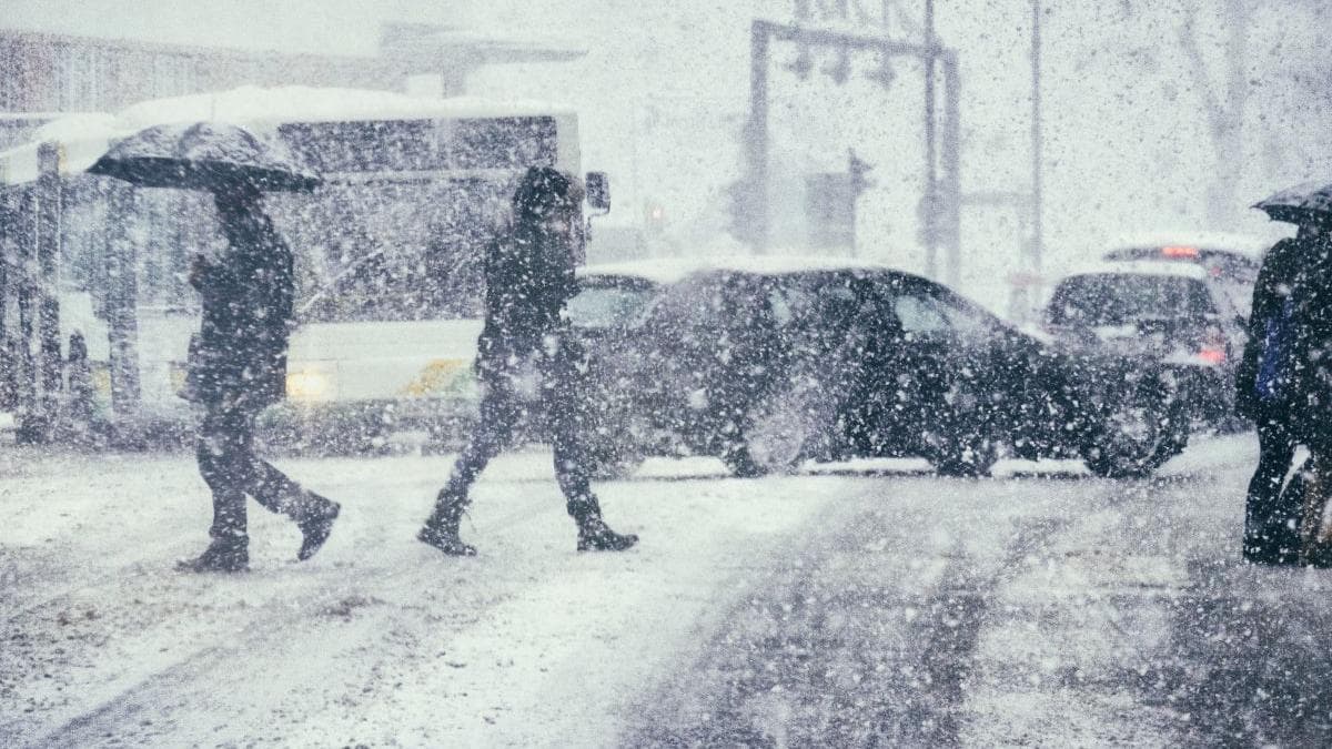 Cod galben și portocaliu de viscol în România