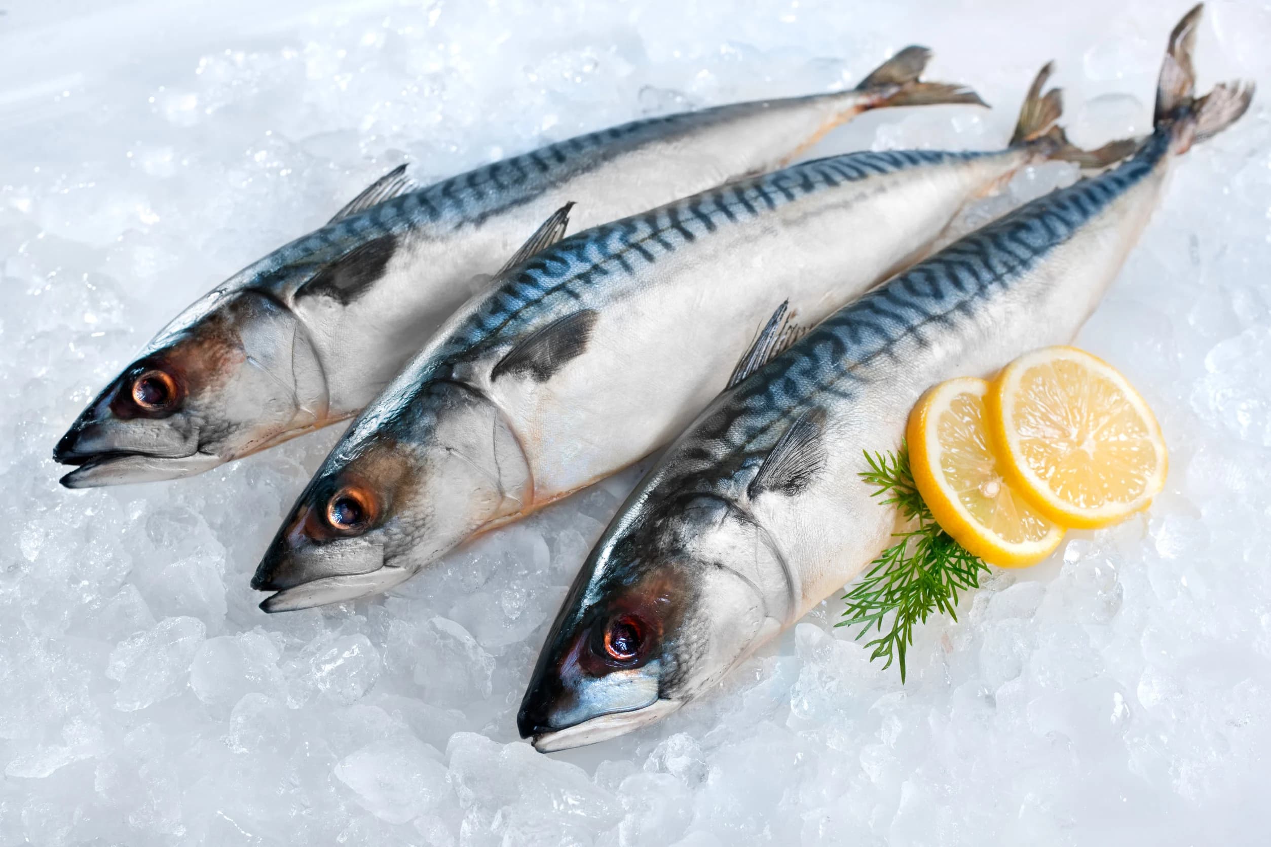 ANSA: Rechemare de produs alimentar – macrou congelat