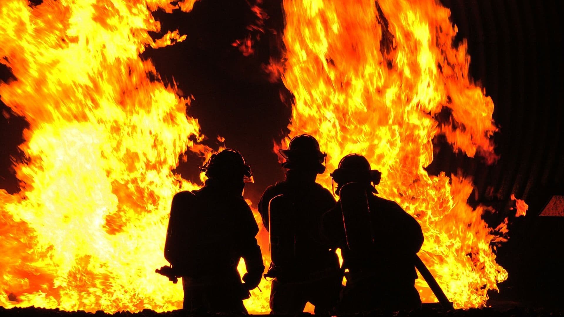 Incendiu de proporții în România: Peste zeci de animale au murit arse de vii