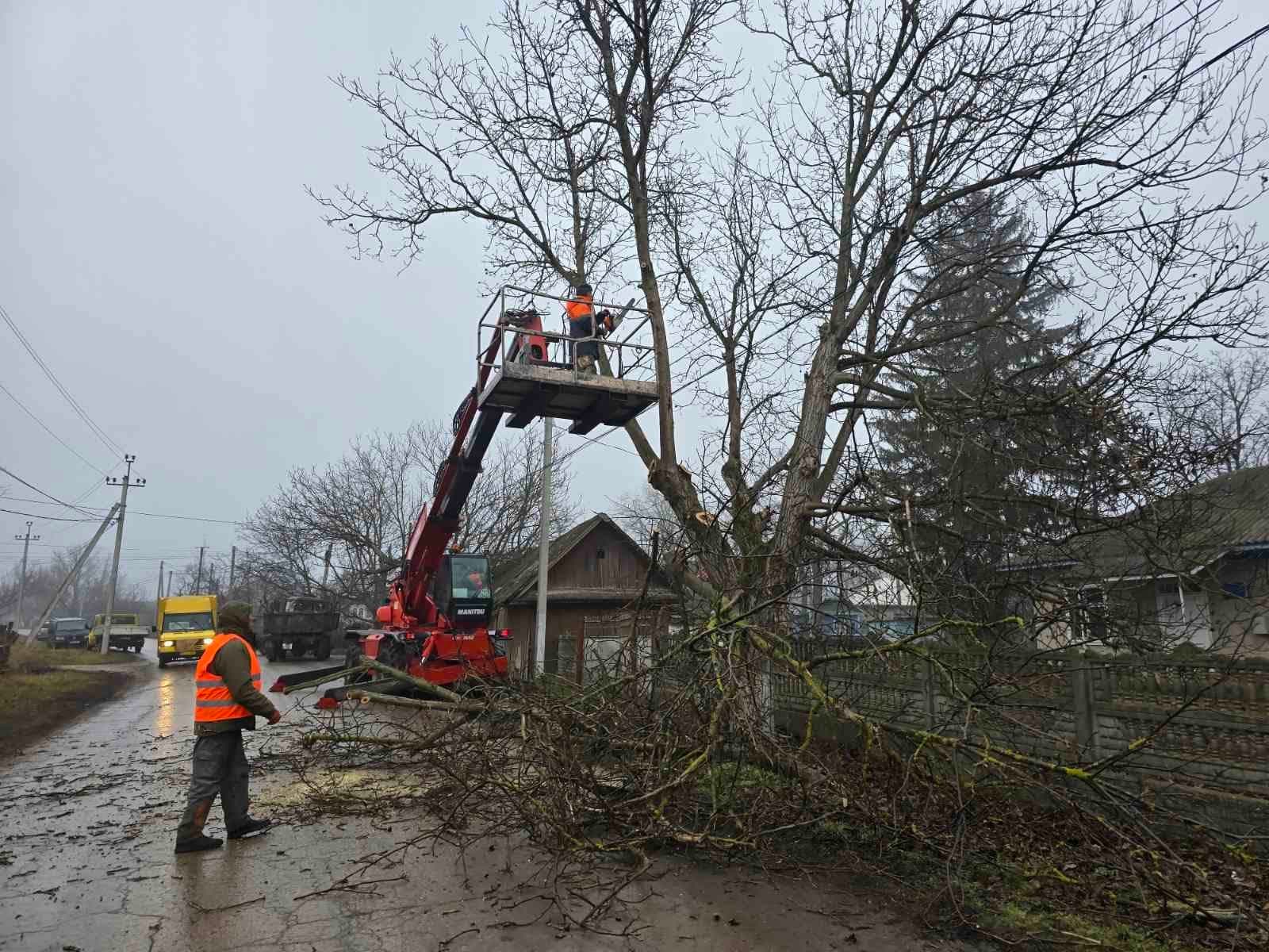 Drumarii lucrează pentru siguranța traficului și întreținerea infrastructurii rutiere