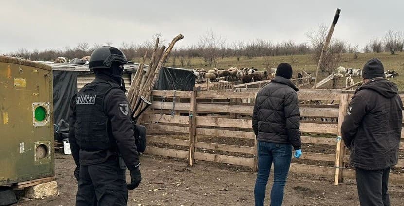 Proprietar de fermă din Florești, reținut pentru exploatarea prin muncă