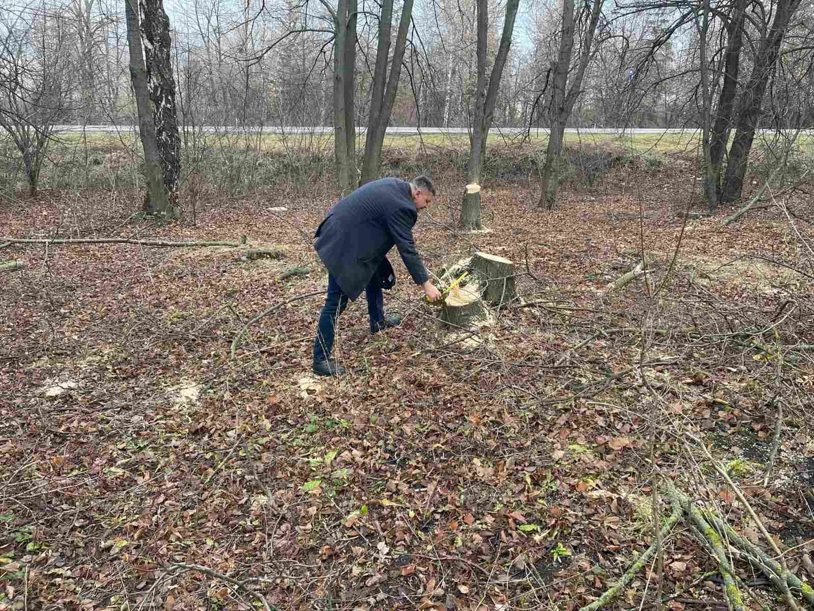Tăieri ilegale și braconaj la Edineț: prejudicii de mii de lei aduse mediului