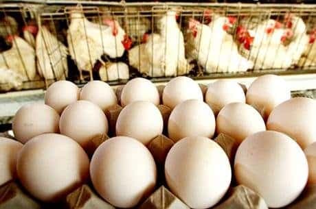 După macrou, se scumpesc și ouăle: Prețuri record la Chișinău