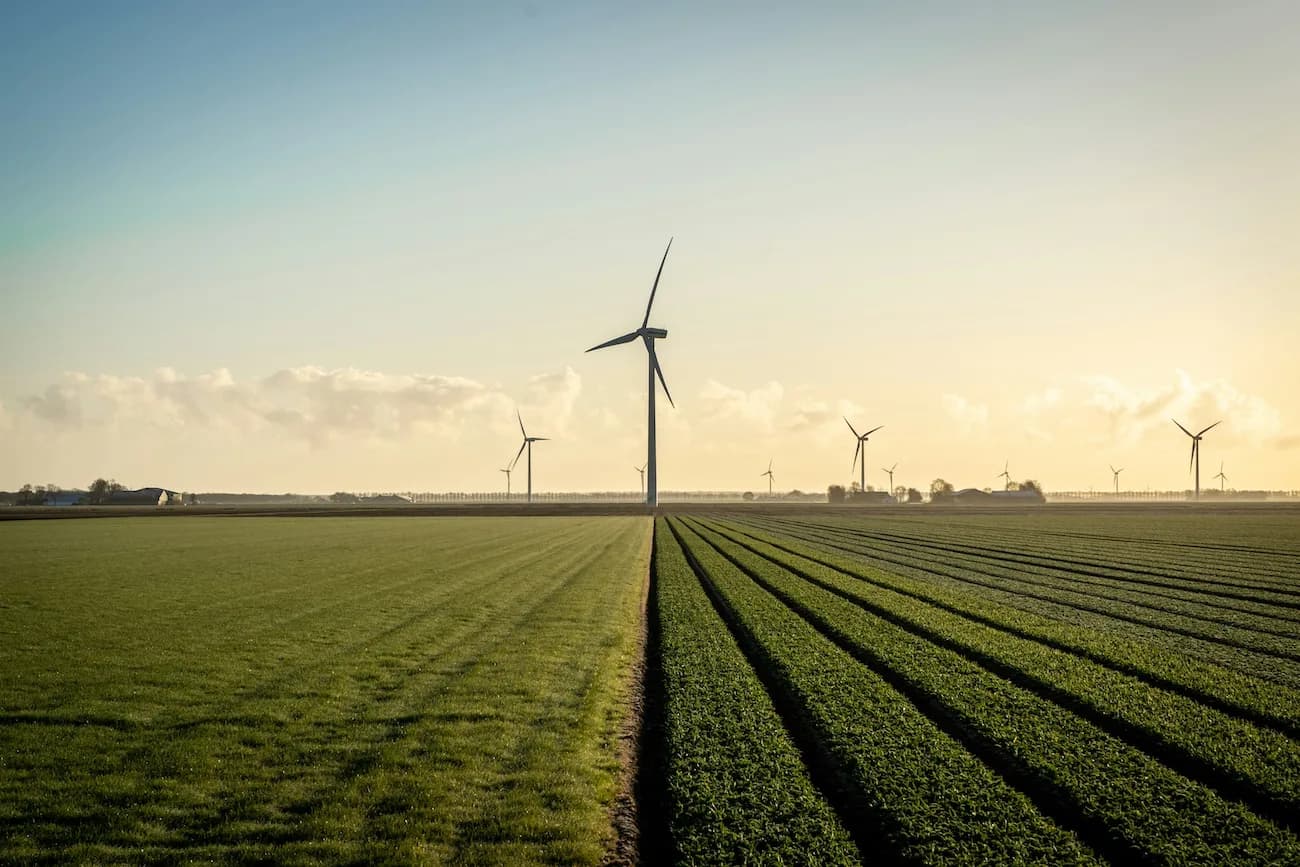 Terenurile agricole vor putea fi folosite pentru parcuri eoliene și instalații de biogaz