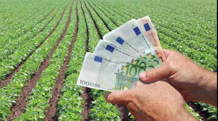 Ministerul Agriculturii investește în modernizarea colegiilor agricole
