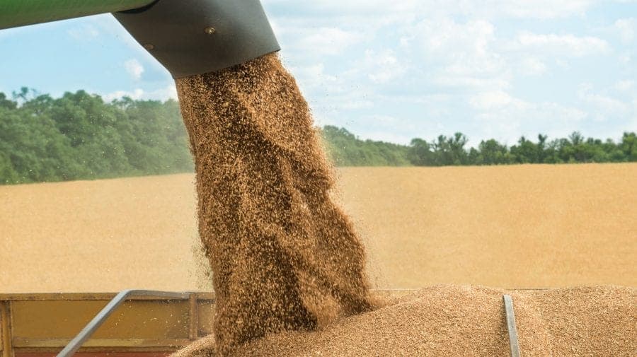 Exporturile de grâu ale Republicii Moldova ating un nivel record în debutul noului sezon